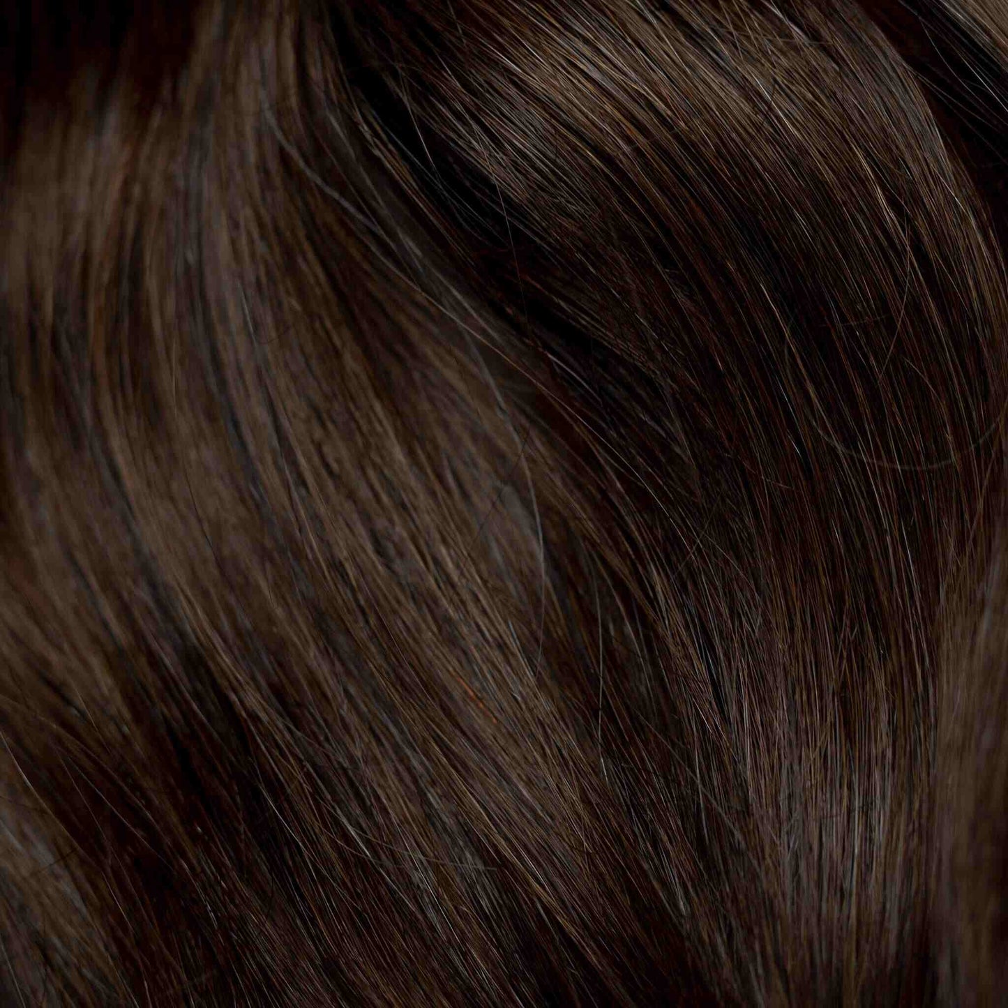 Tape-In 22" 50g Single Donor Virgin - #2 Dark Chocolate (aka Dark Brown)