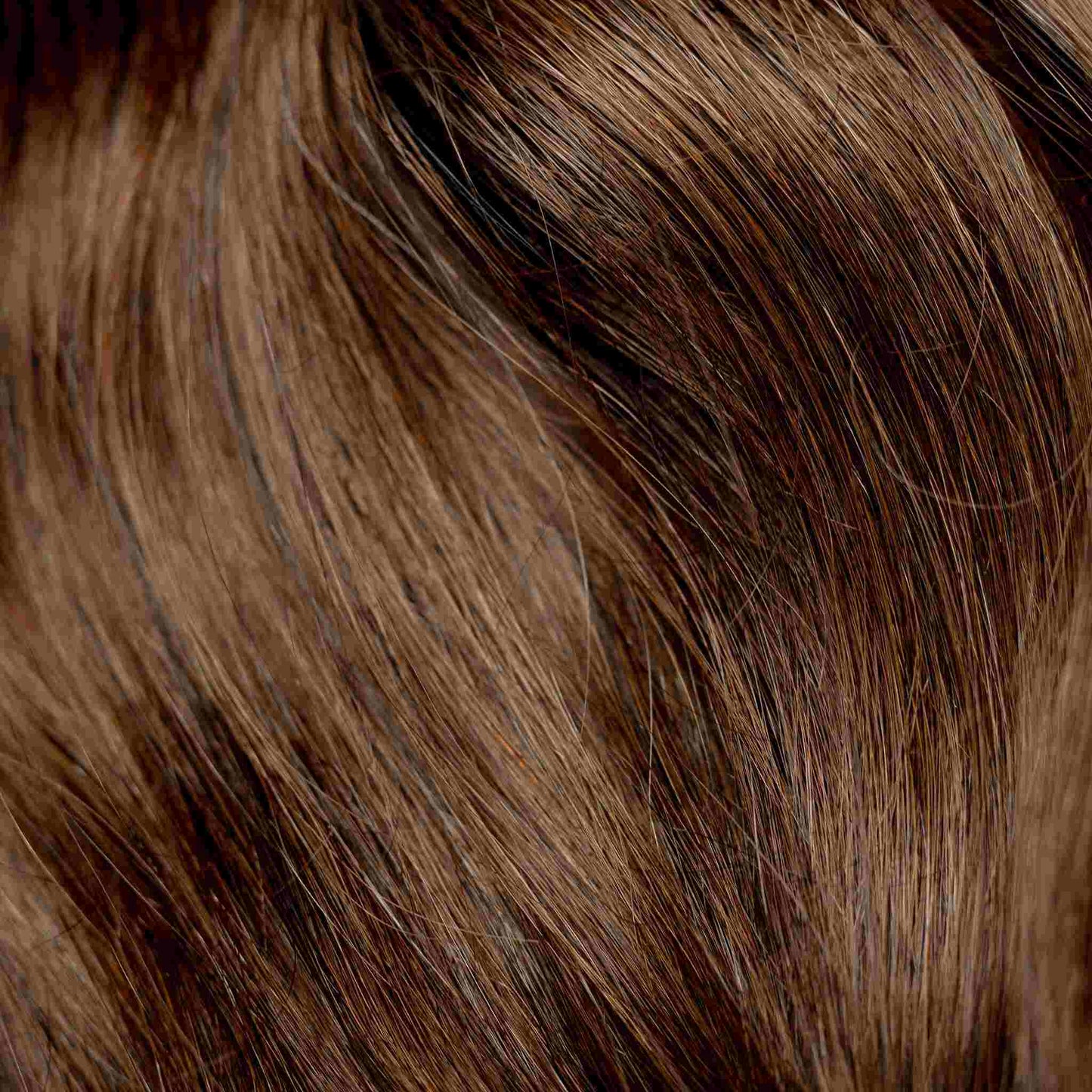 Tape-In 22" 50g Professional Hair Extensions - #4 Roasted Walnut (aka Chocolate Brown)