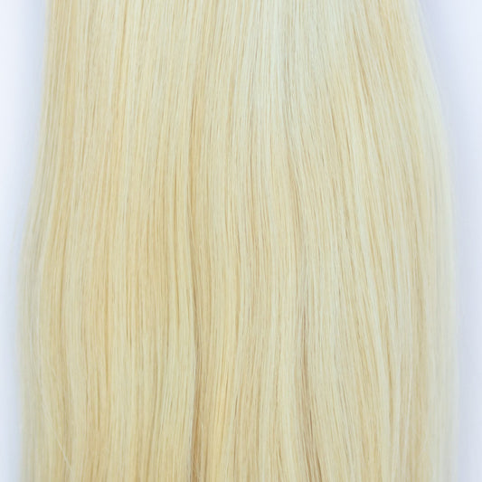 Tape-In 24" 55g Single Donor Virgin - #60 Classic Blonde (aka Ash Blonde)