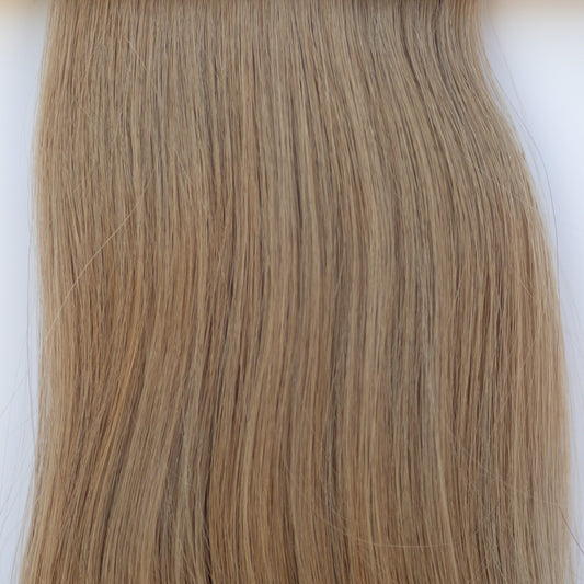 Tape-In 24" 55g Single Donor Virgin - #6 Cinnamon Brown (aka Chestnut Brown)