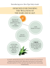 Load image into Gallery viewer, ALTER EGO ITALY - Master Care Collection - Scalp products and rituals