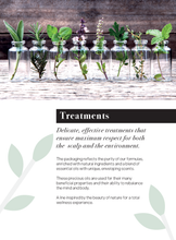 Load image into Gallery viewer, ALTER EGO ITALY - Master Care Collection - Scalp products and rituals