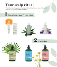 Load image into Gallery viewer, ALTER EGO ITALY - Master Care Collection - Scalp products and rituals