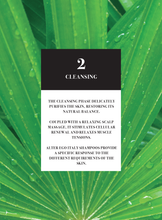 Load image into Gallery viewer, ALTER EGO ITALY - Master Care Collection - Scalp products and rituals