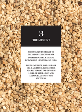 Load image into Gallery viewer, ALTER EGO ITALY - Master Care Collection - Scalp products and rituals