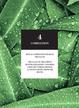 Load image into Gallery viewer, ALTER EGO ITALY - Master Care Collection - Scalp products and rituals